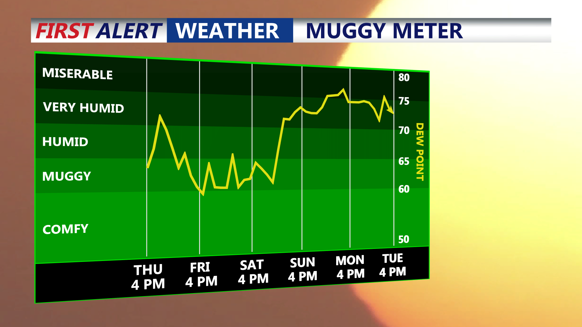 Muggy Meter